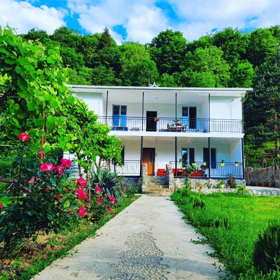 קאחתי Family Hotel Mountain Panorama מראה חיצוני תמונה